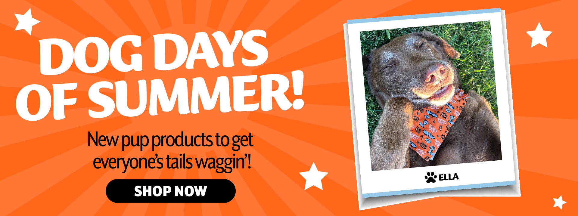 Dog days of summer! New pup products to get eveyone's tail waggin'! Shop Now.